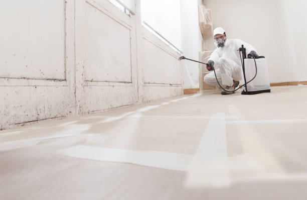 24/7 Emergency Mold Remediation experts in LaFayette, GA