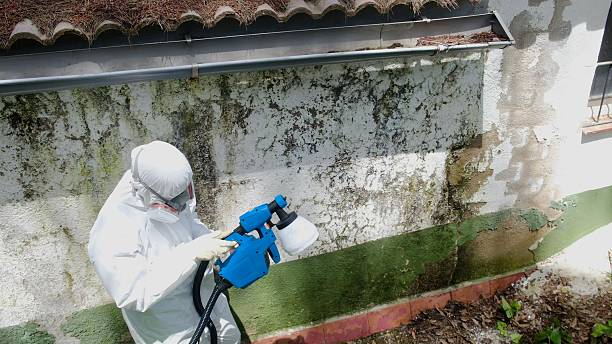 Top rated local Mold Remediation specialists in LaFayette, GA